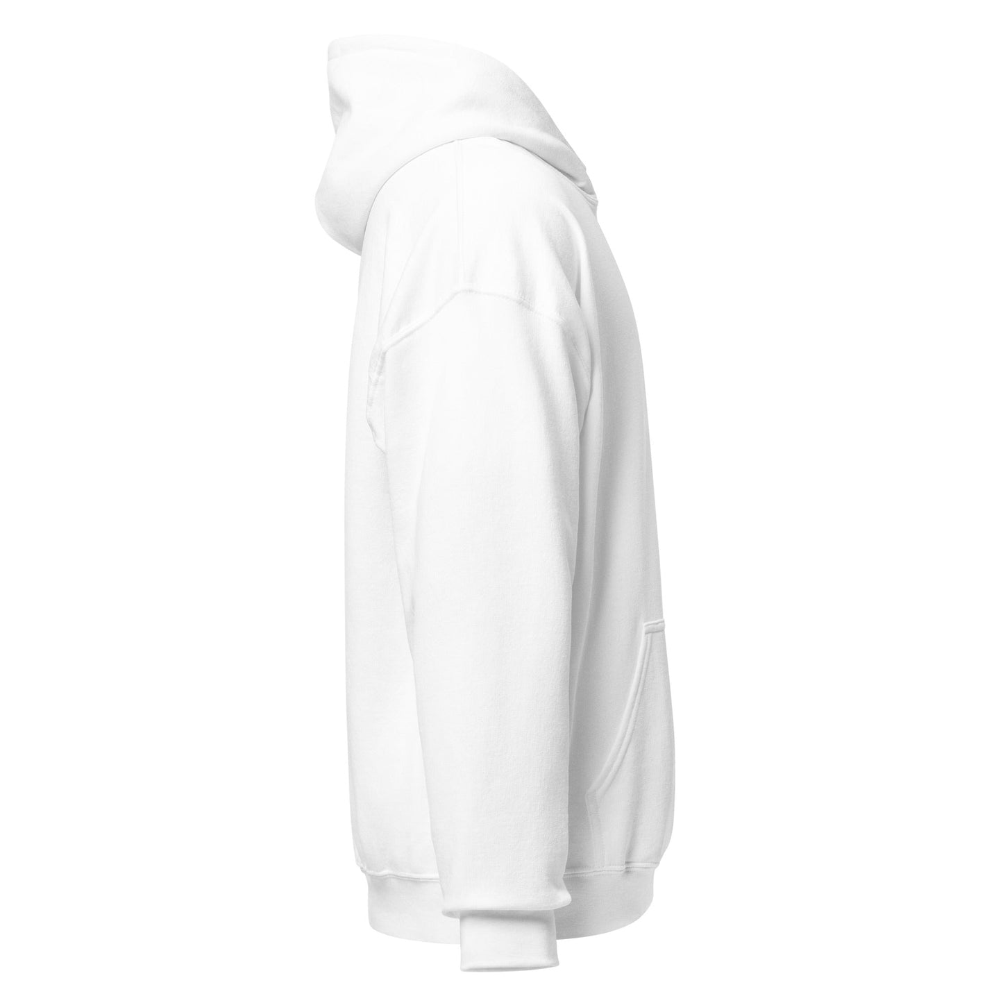 Mens Delco Brand Embroidered Hoodie DELCO BRAND